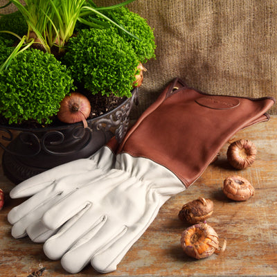 Edle Rosenhandschuhe aus Leder